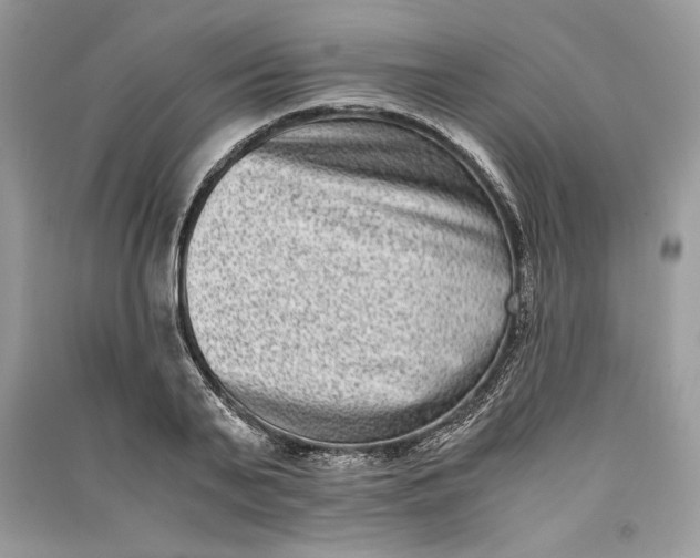 X0000090700791200708101441