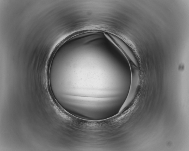 X0000090700792200708101441