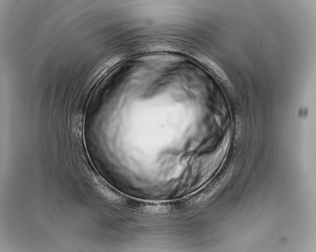 X0000090700793200708101440