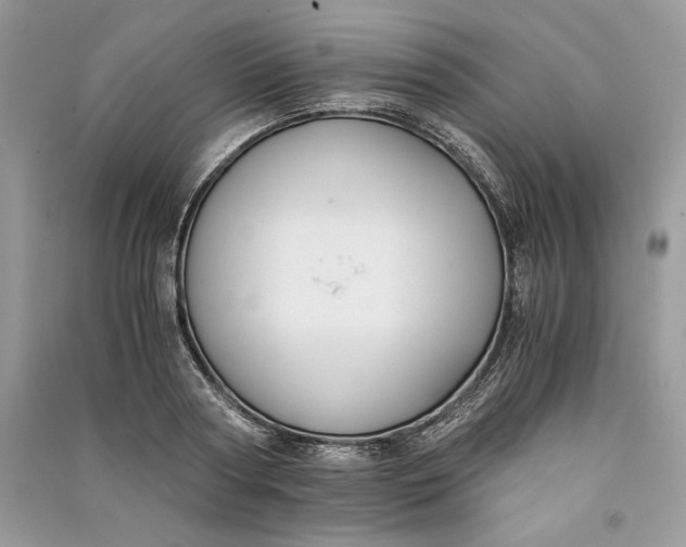 X0000090700794200708101440