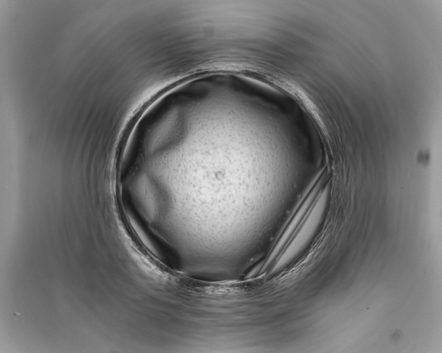 X0000090700795200708101440