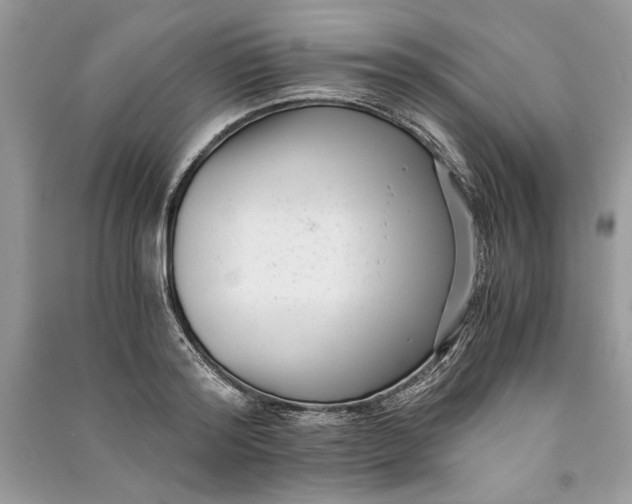 X0000090700796200708101440