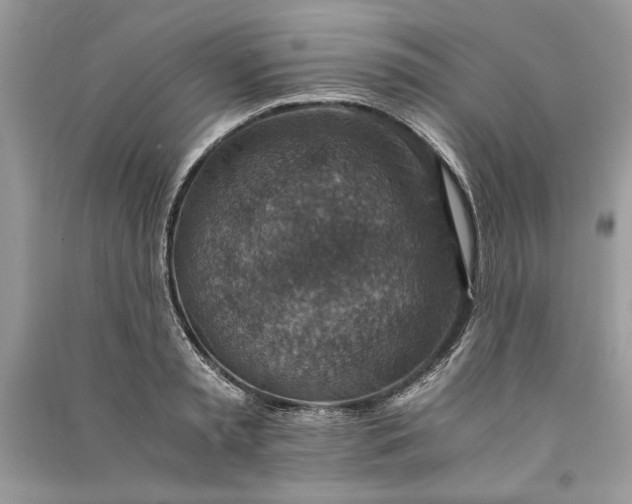 X0000090700797200708101440