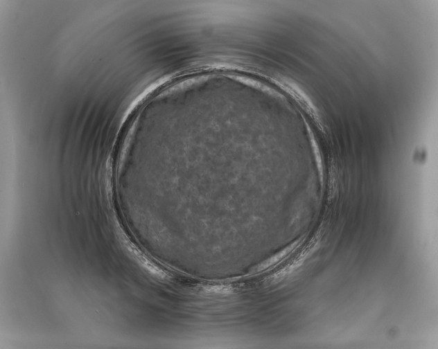 X0000090700798200708101440