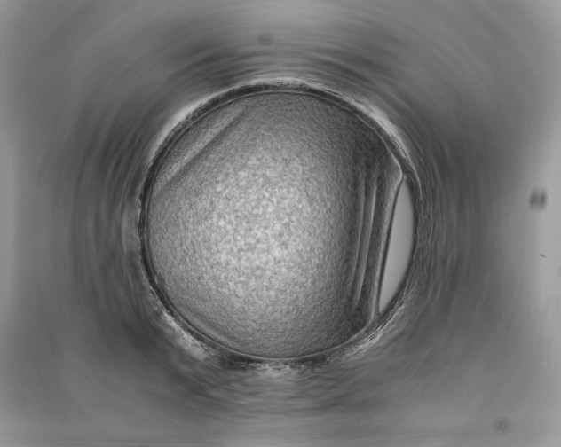 X0000090700799200708101440