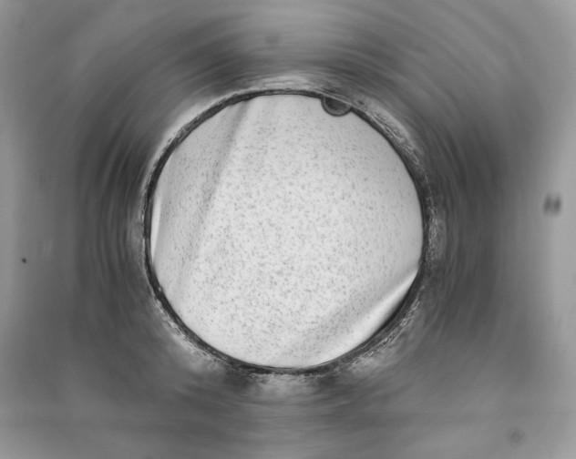 X0000090700800200708101440