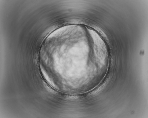 X0000090700801200708101440