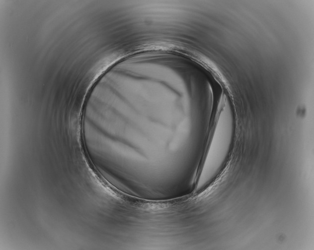 X0000090700802200708101440