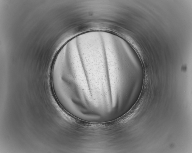 X0000090700803200708101440