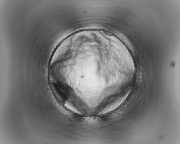 X0000090700805200708101440
