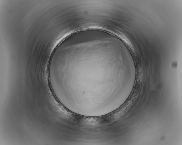 X0000090700806200708101440