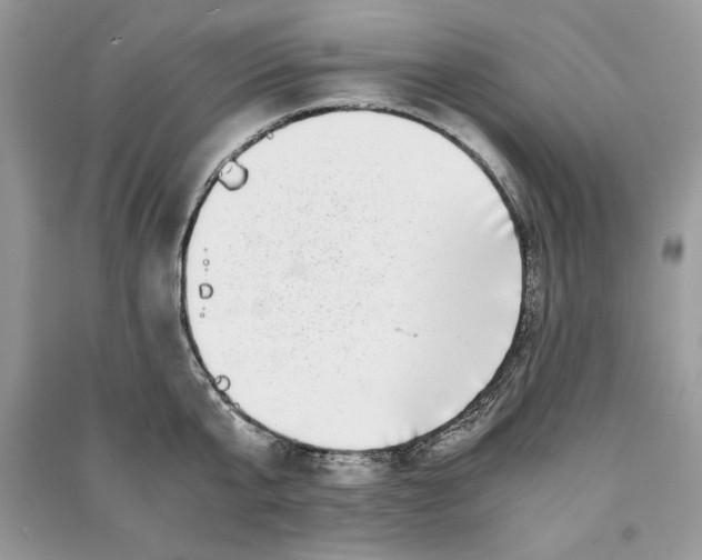 X0000090700807200708101440