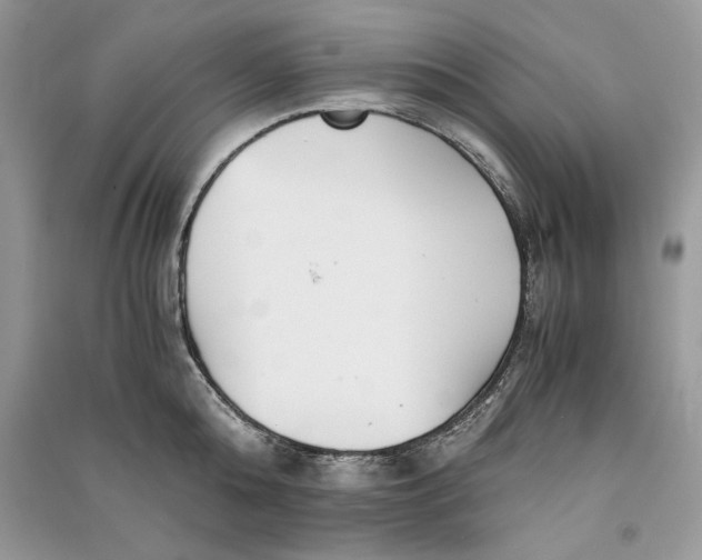 X0000090700808200708101440