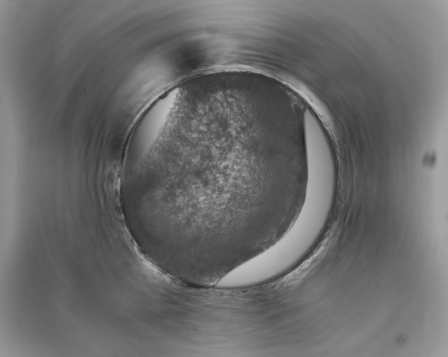 X0000090700809200708101440