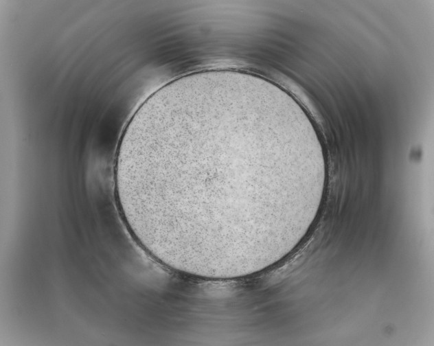 X0000090700810200708101440