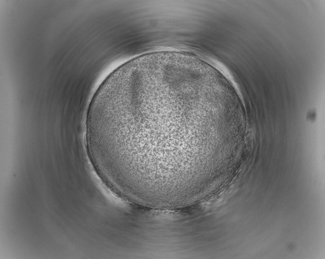 X0000090700811200708101440