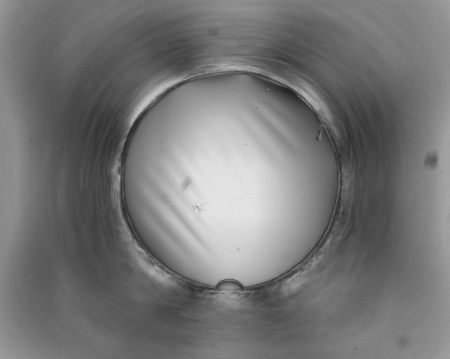 X0000090700814200708101440