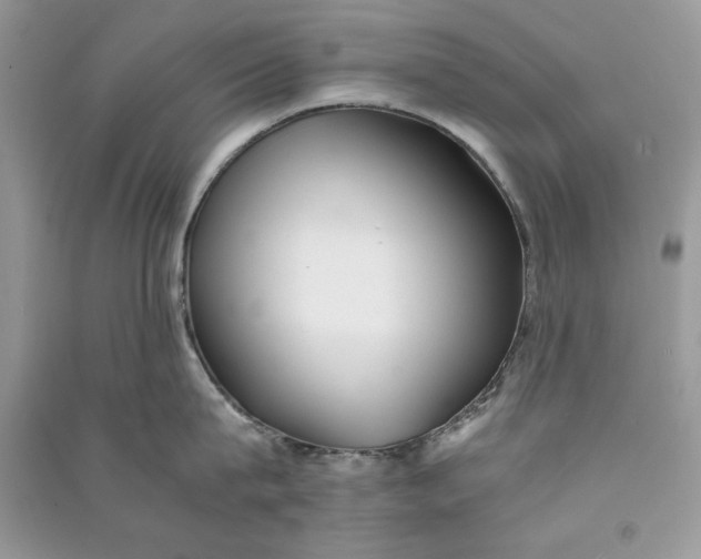 X0000090700815200708101440