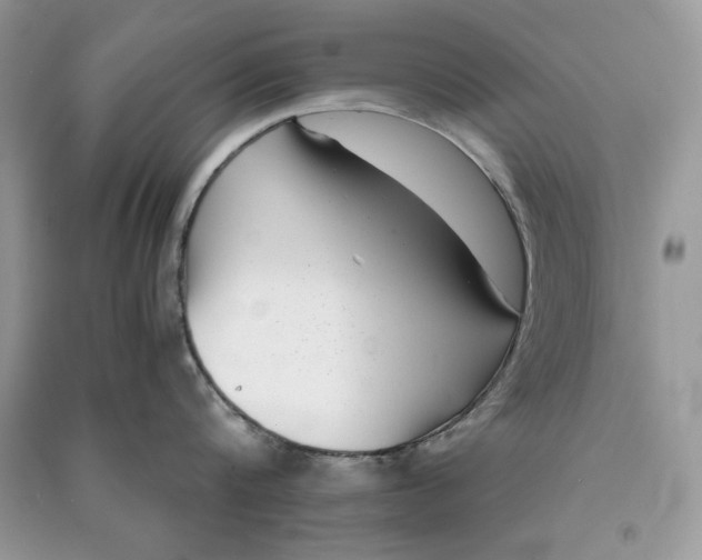 X0000090700816200708101440