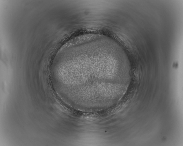 X0000090700817200708101440