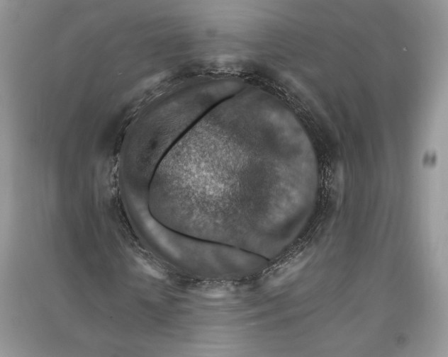 X0000090700818200708101440