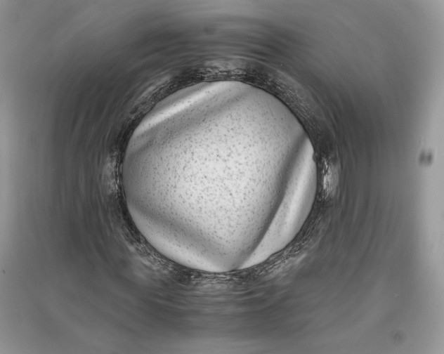 X0000090700819200708101440