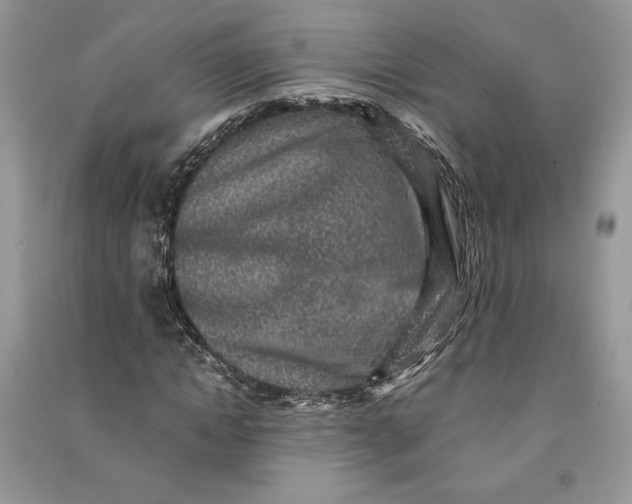 X0000090700822200708101440