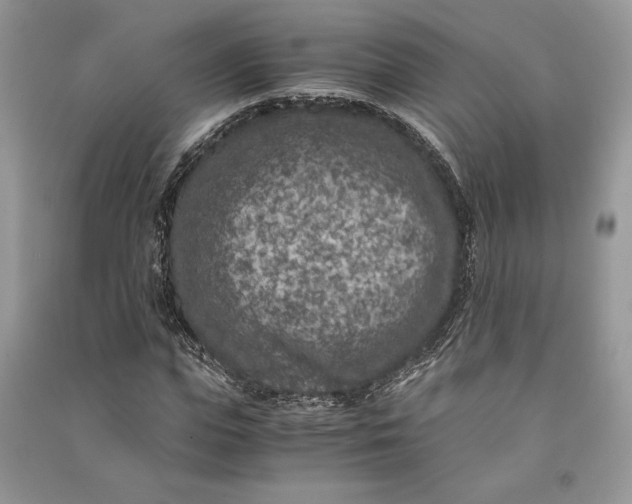 X0000090700823200708101440