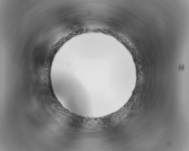 X0000090700824200708101440