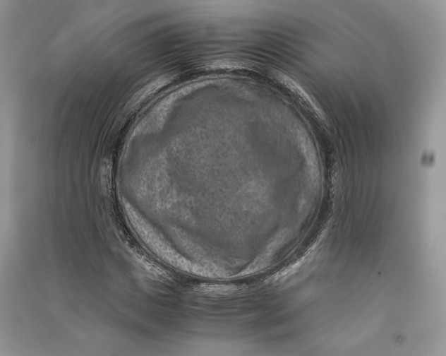X0000090700825200708101440