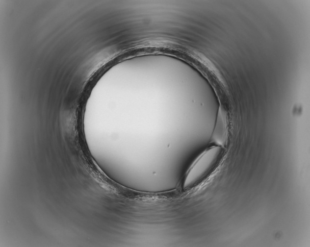 X0000090700826200708101440