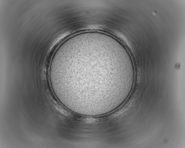 X0000090700827200708101440