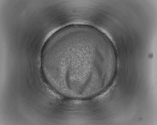 X0000090700829200708101440