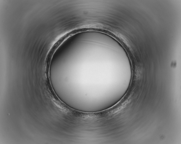 X0000090700830200708101440