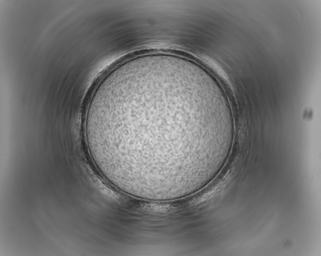 X0000090700831200708101440