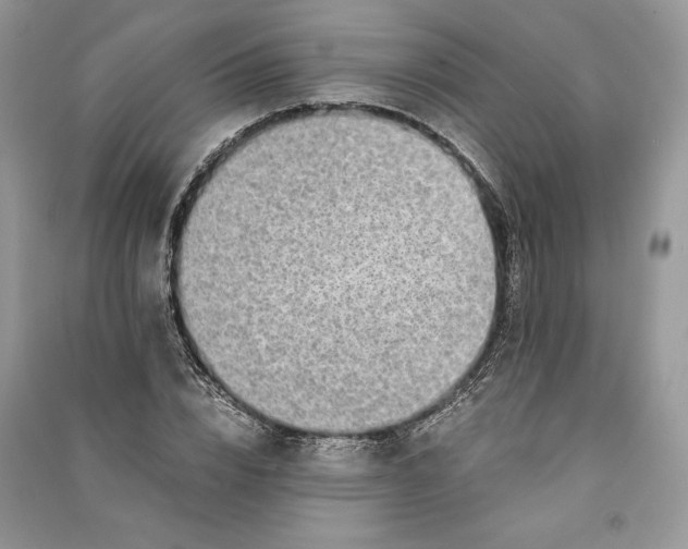 X0000090700832200708101440