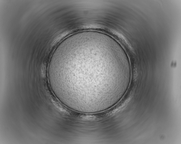 X0000090700833200708101440