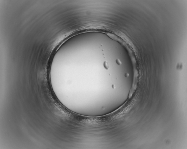 X0000090700834200708101440