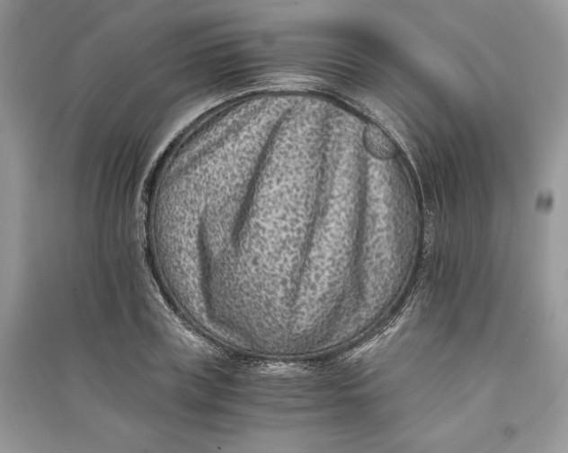 X0000090700835200708101440