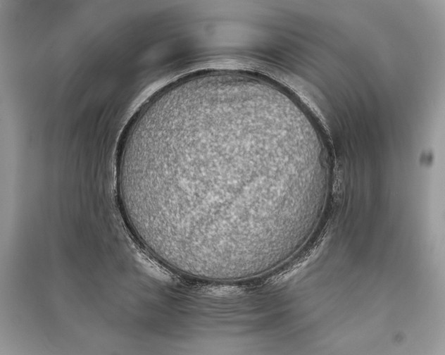 X0000090700837200708101440