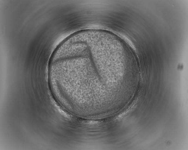 X0000090700839200708101440