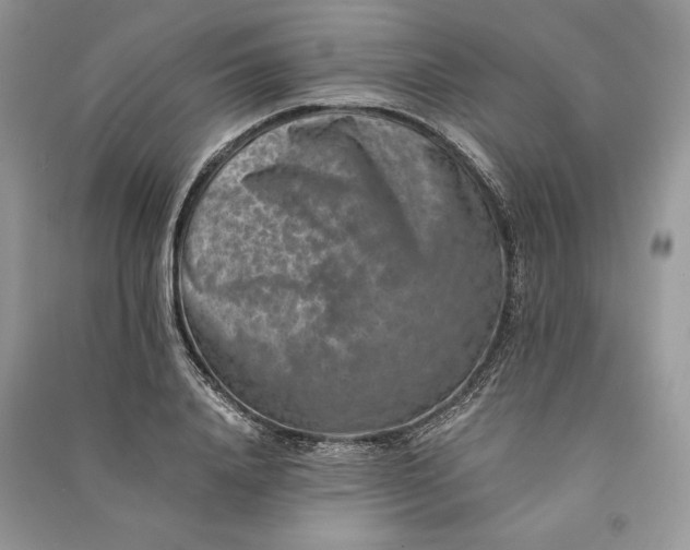 X0000090700840200708101440