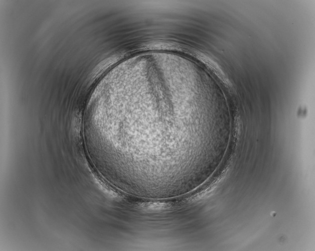 X0000090700841200708101440