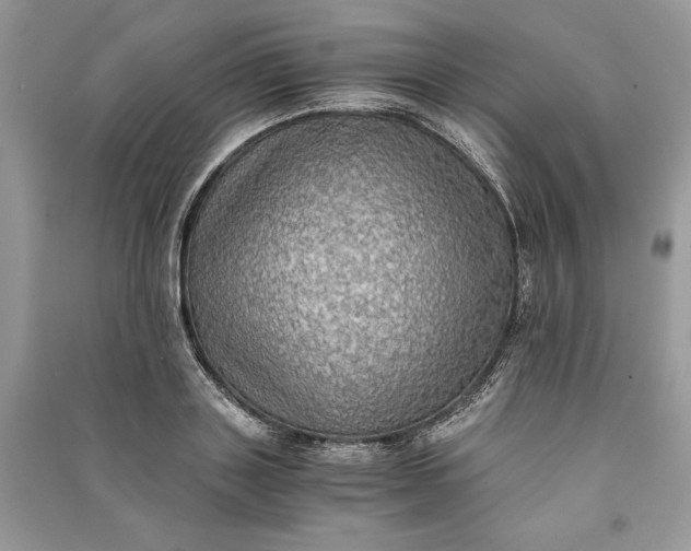 X0000090700843200708101440