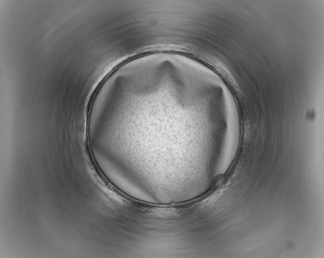 X0000090700844200708101440