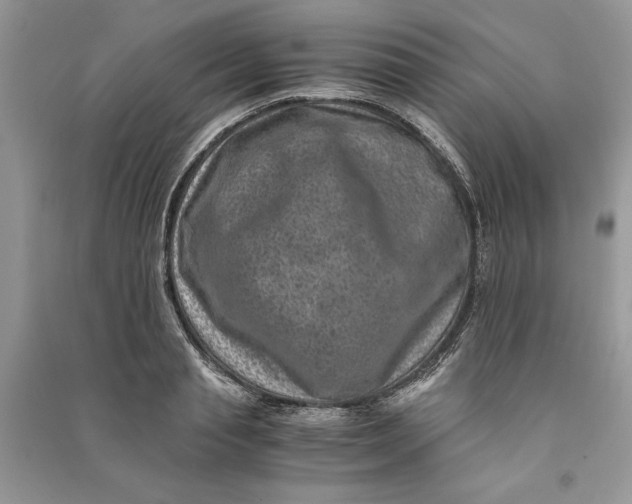X0000090700845200708101440