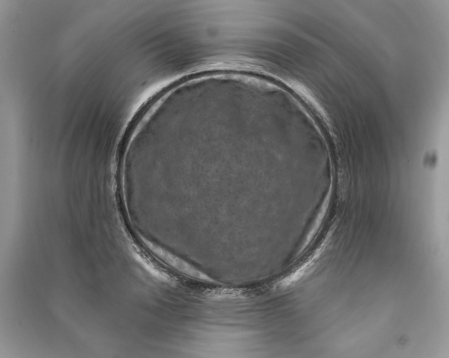 X0000090700846200708101440