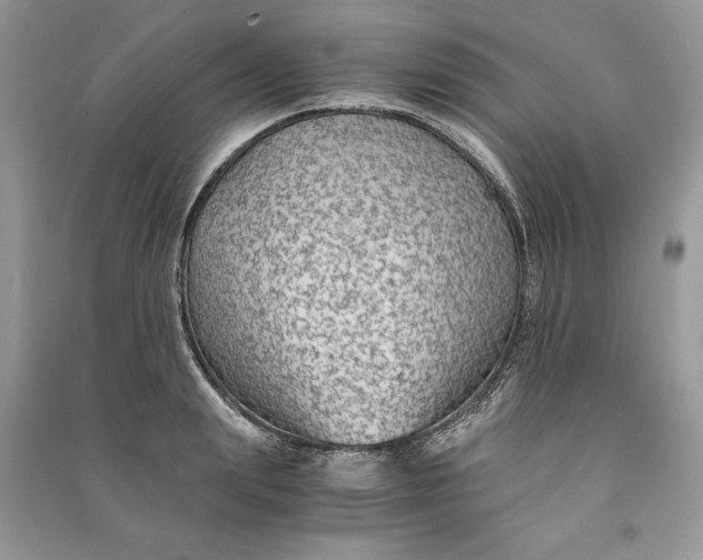 X0000090700847200708101440