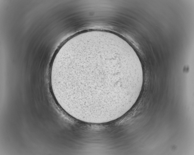 X0000090700848200708101440