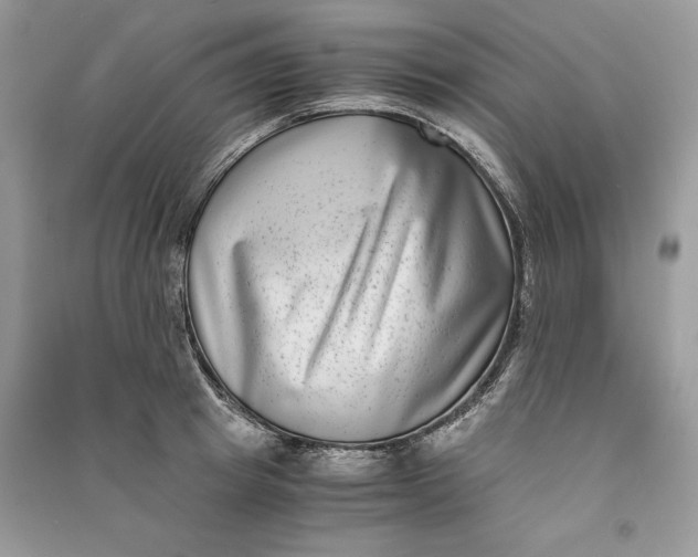 X0000090700849200708101440